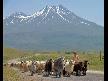k�rt�e,ve,�ivan,ve,diyar,ve,kemale,...