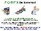 Forex Nedir? Nasıl Para Kazanılır.