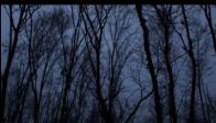 TNK - S�yle Ruhum