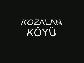 KOZALAN K�Y�(BEYPAZARI)