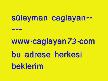 http://site.mynet.com/caglayan73/CAGLAYAN43/index.