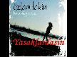 OZLEM TEKIN 2010 YUZDE SEKSEN